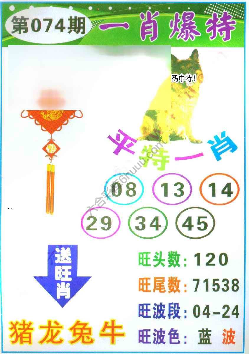 一肖爆特（新版）