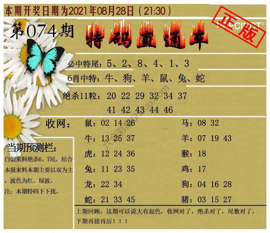 特码直通车