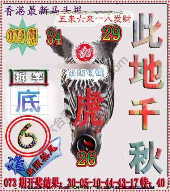 香港马头报