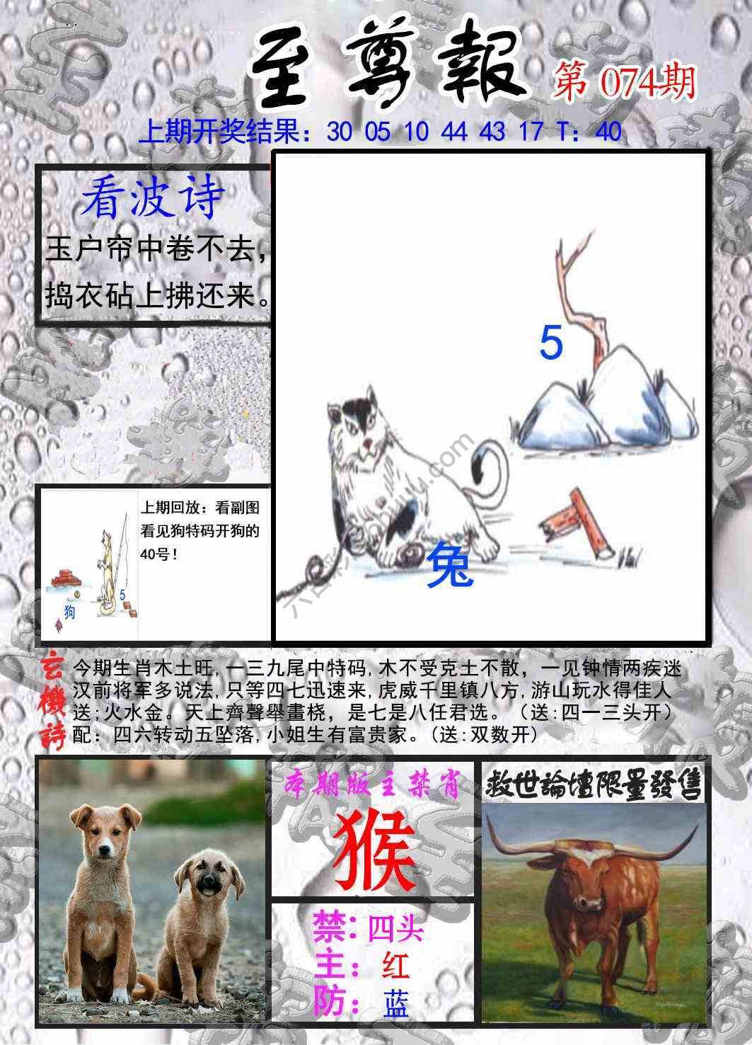至尊报
