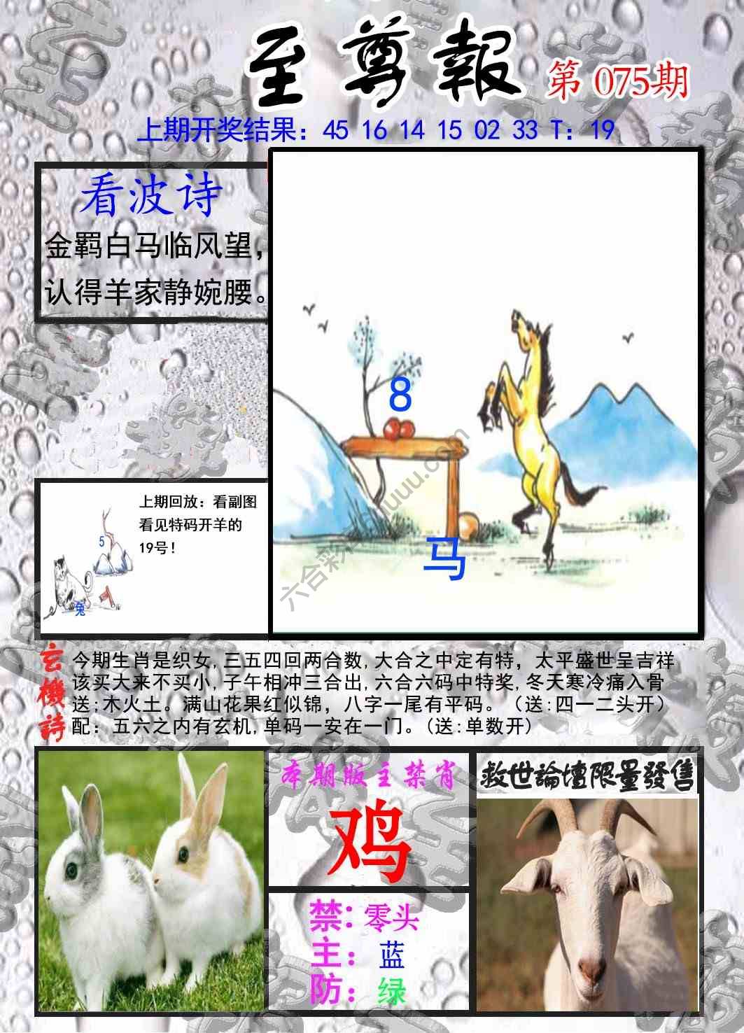 至尊报