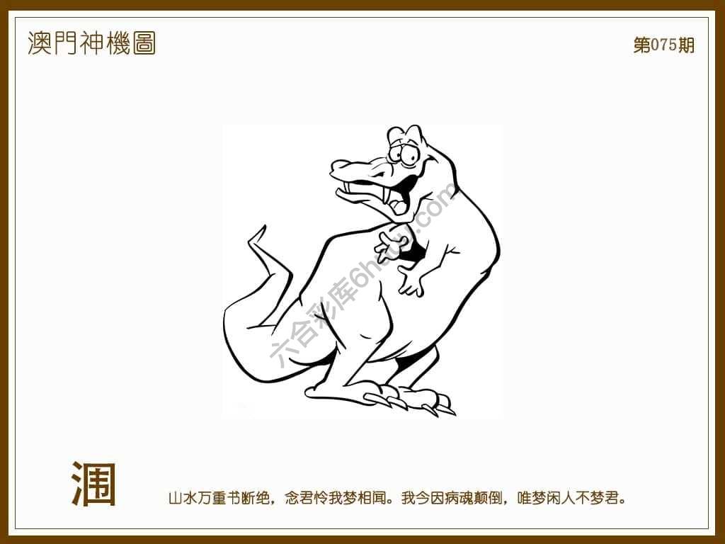 澳门神机图