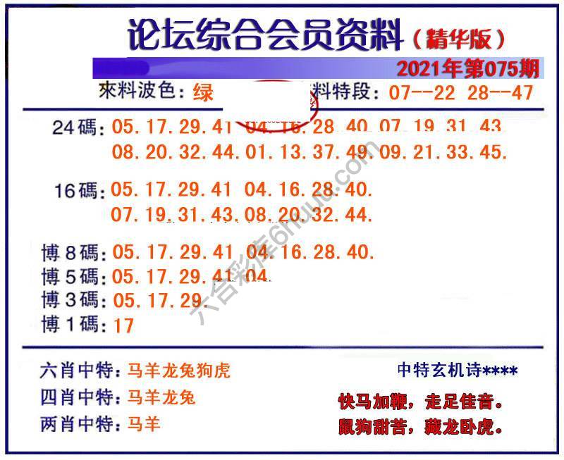 综合会员资料