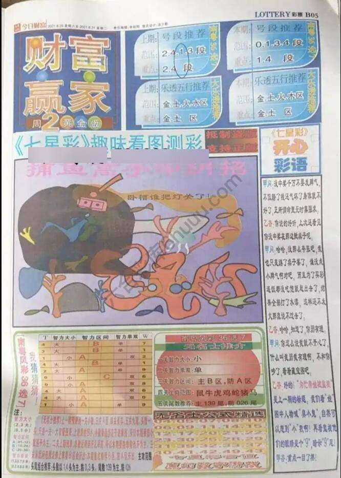 财富赢家