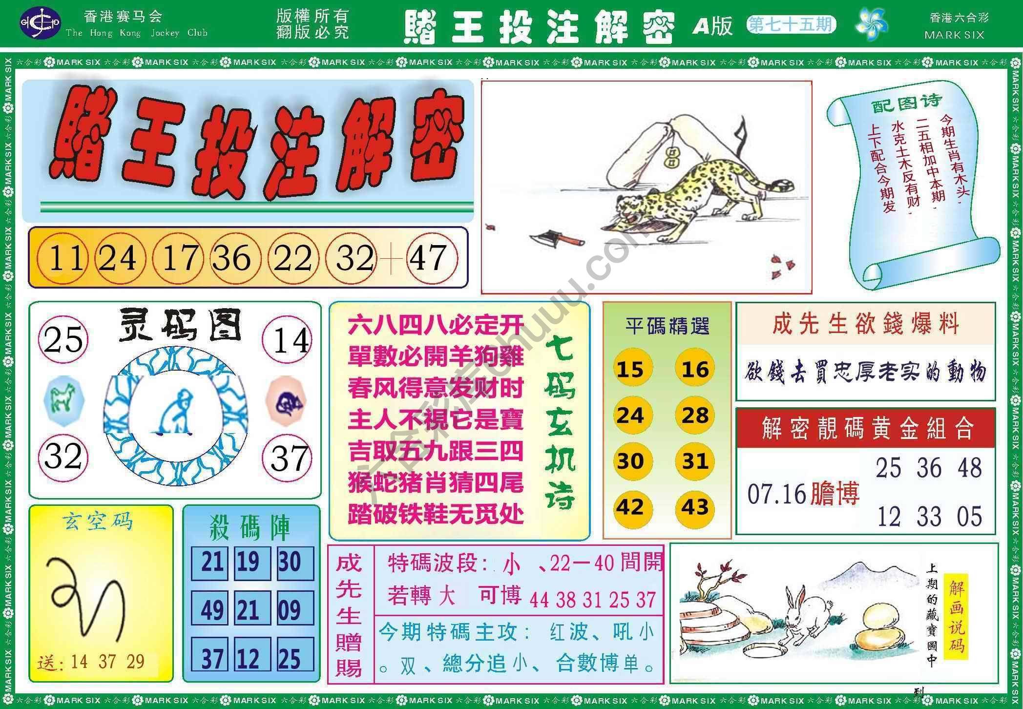 赌王投注解密