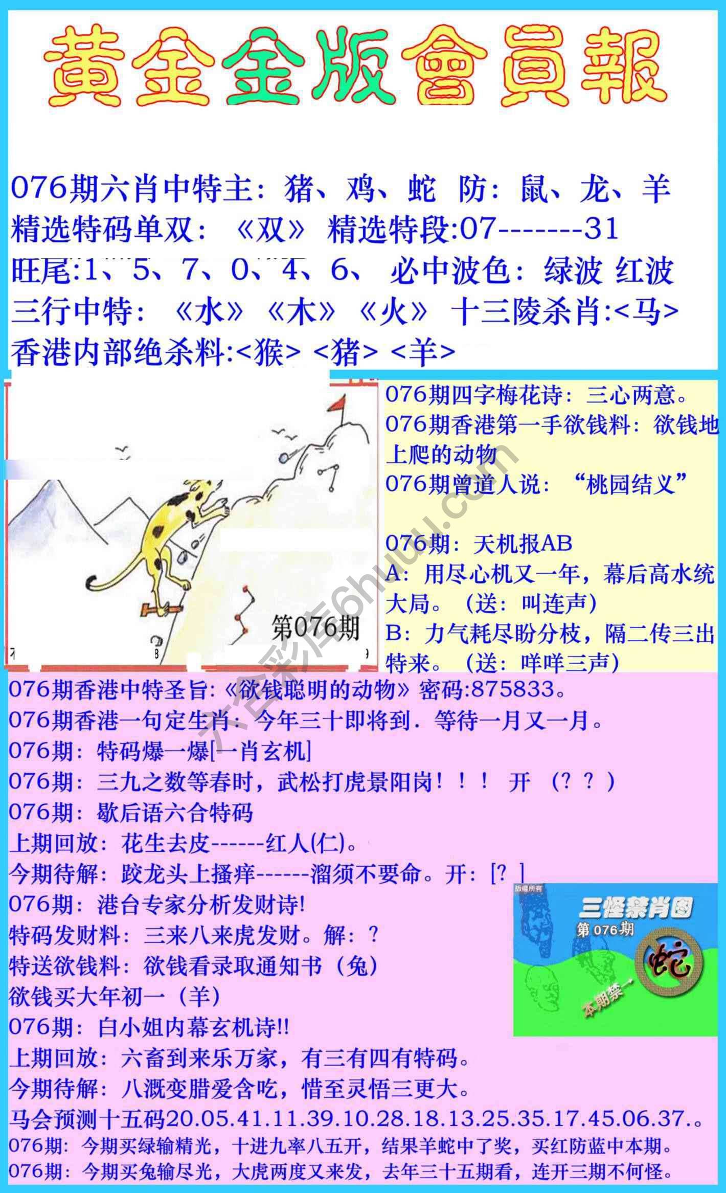 黄金金版会员报