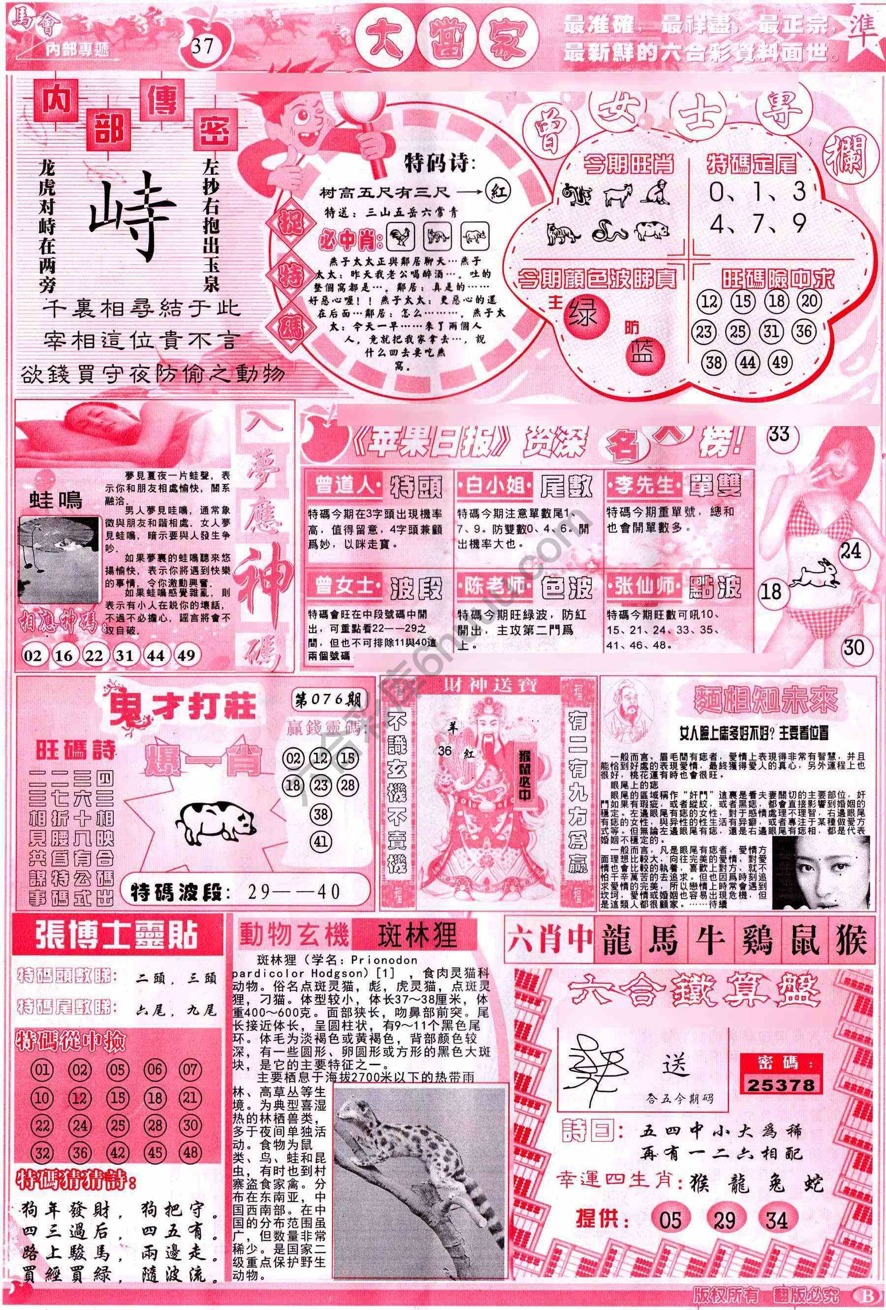 大当家