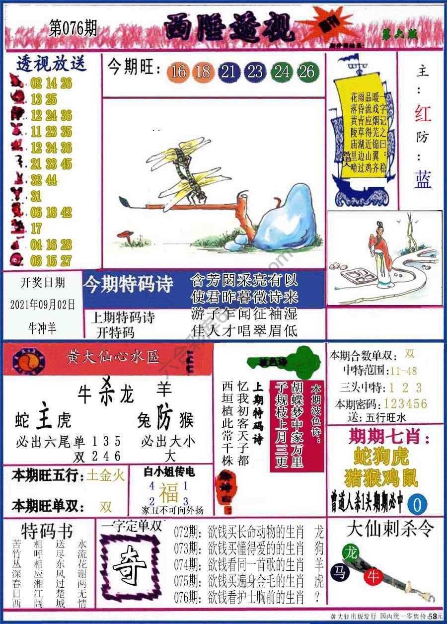 西陲透视（正版）