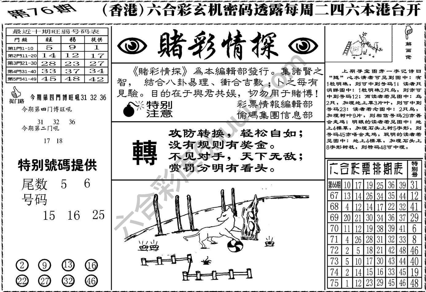 赌彩情探