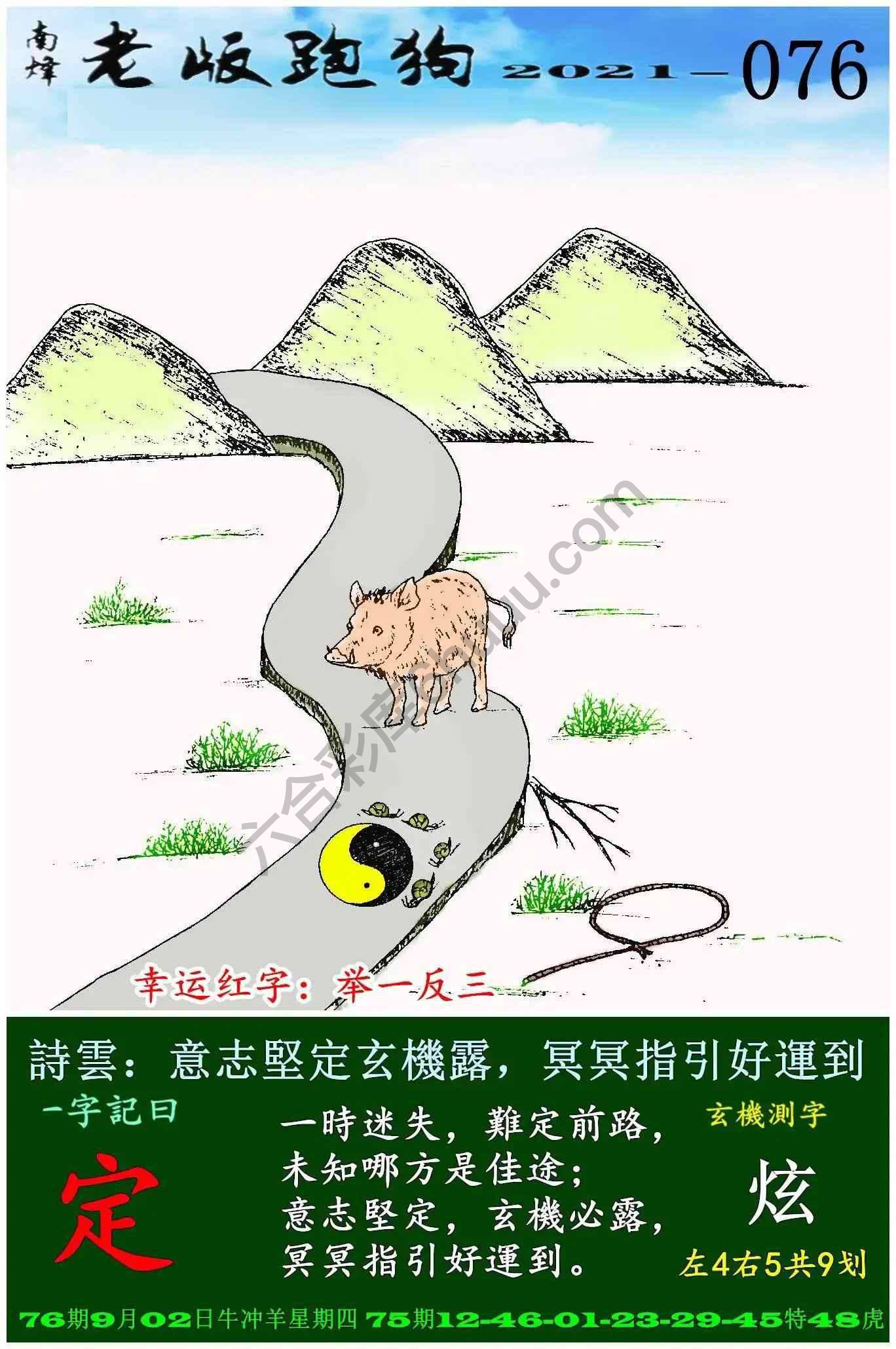 老版跑狗图