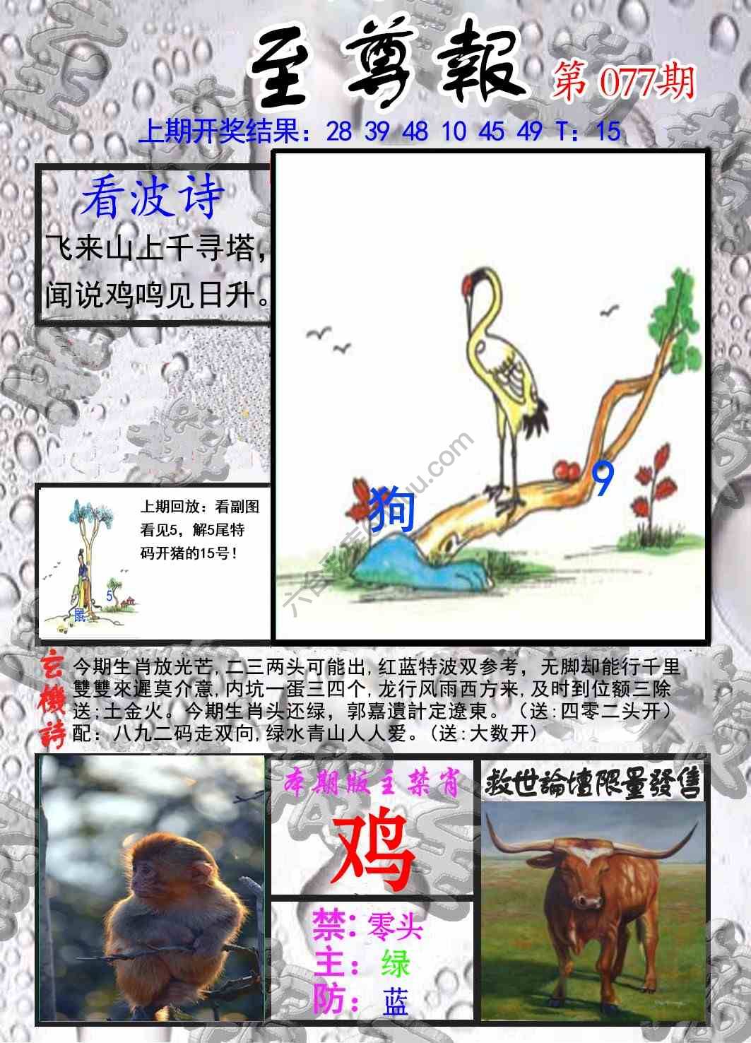 至尊报