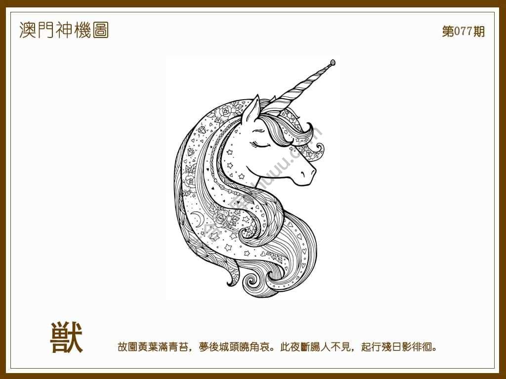 澳门神机图