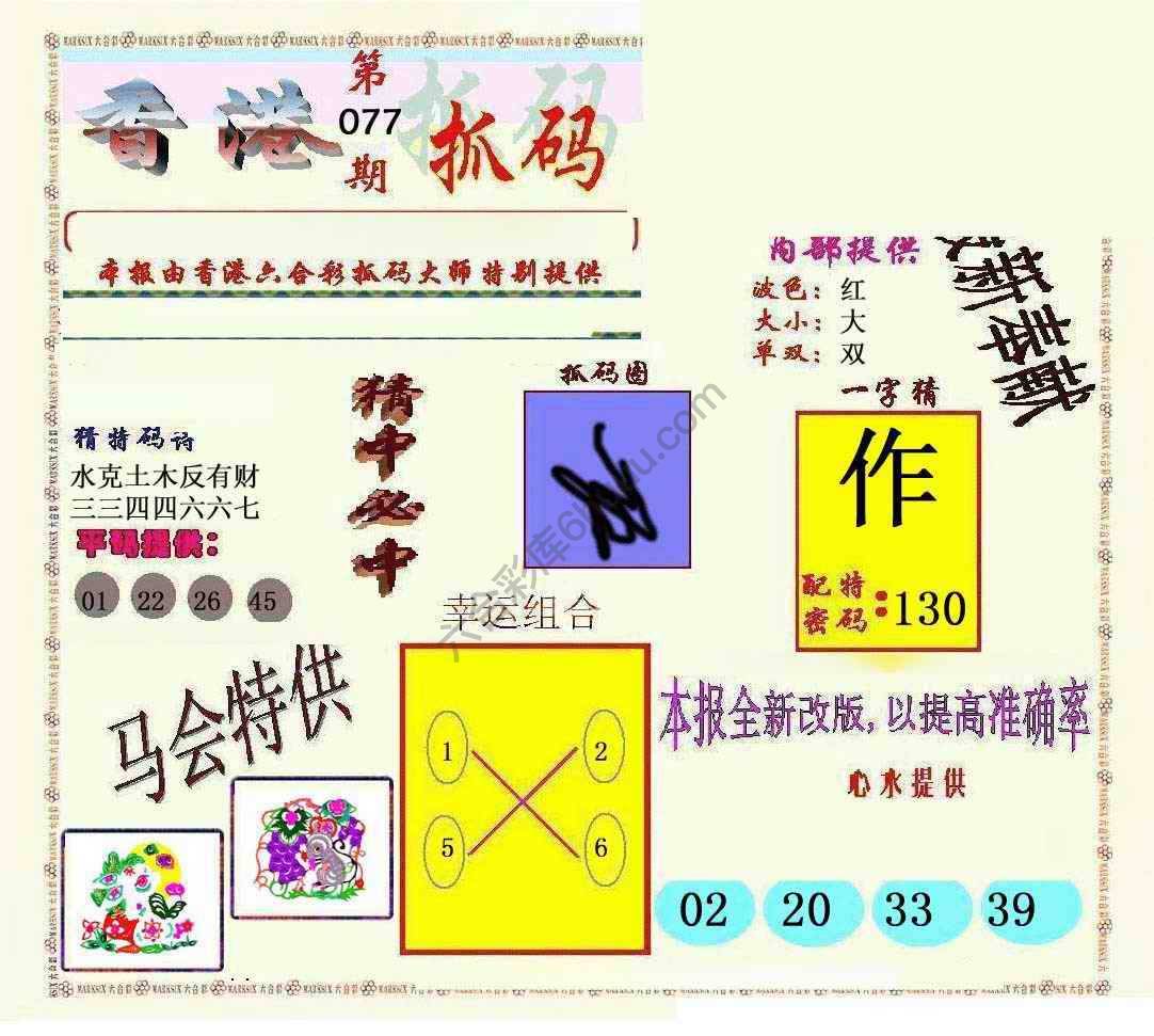 新抓码王