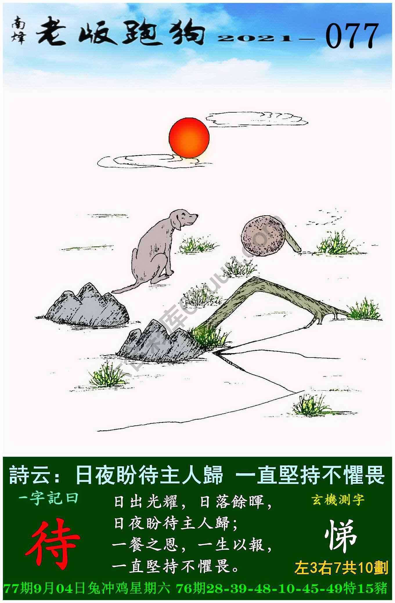 老版跑狗图