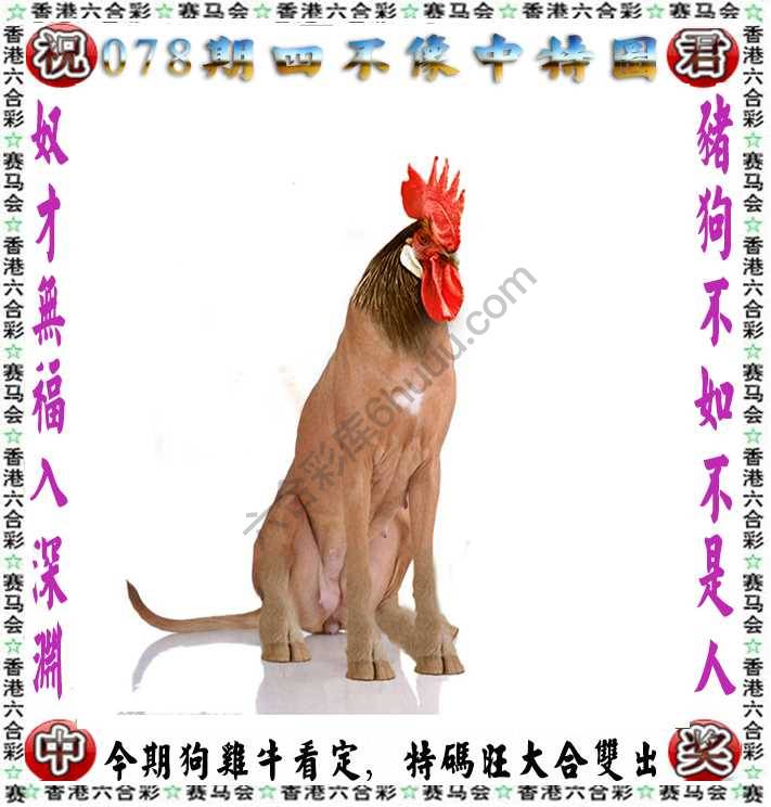 四不像中特图