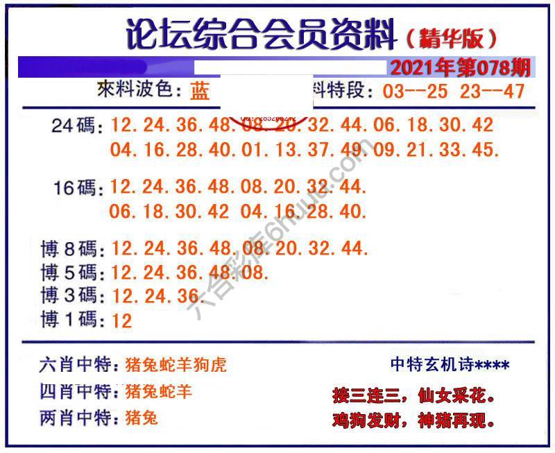 综合会员资料