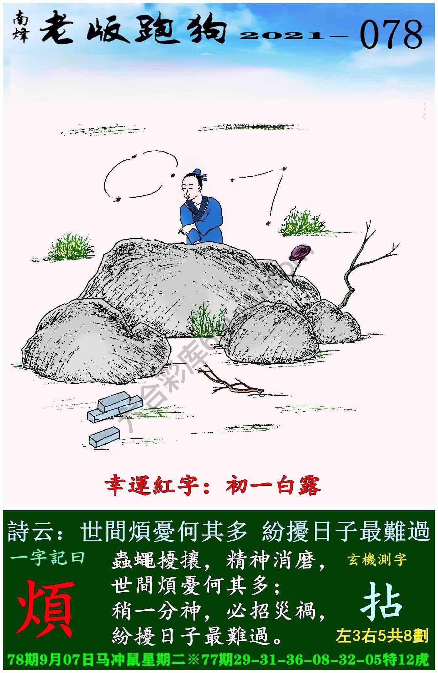 老版跑狗图