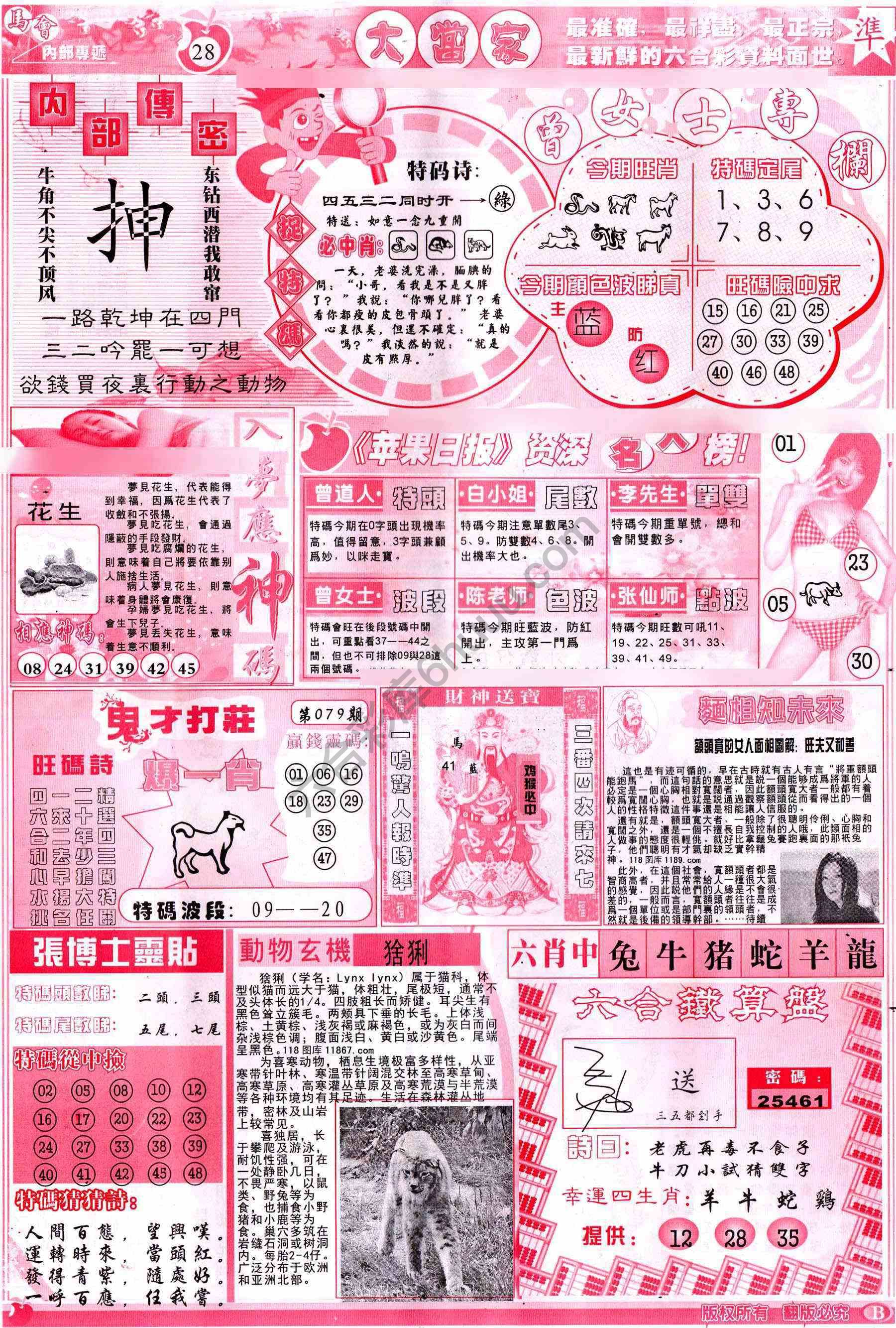 大当家