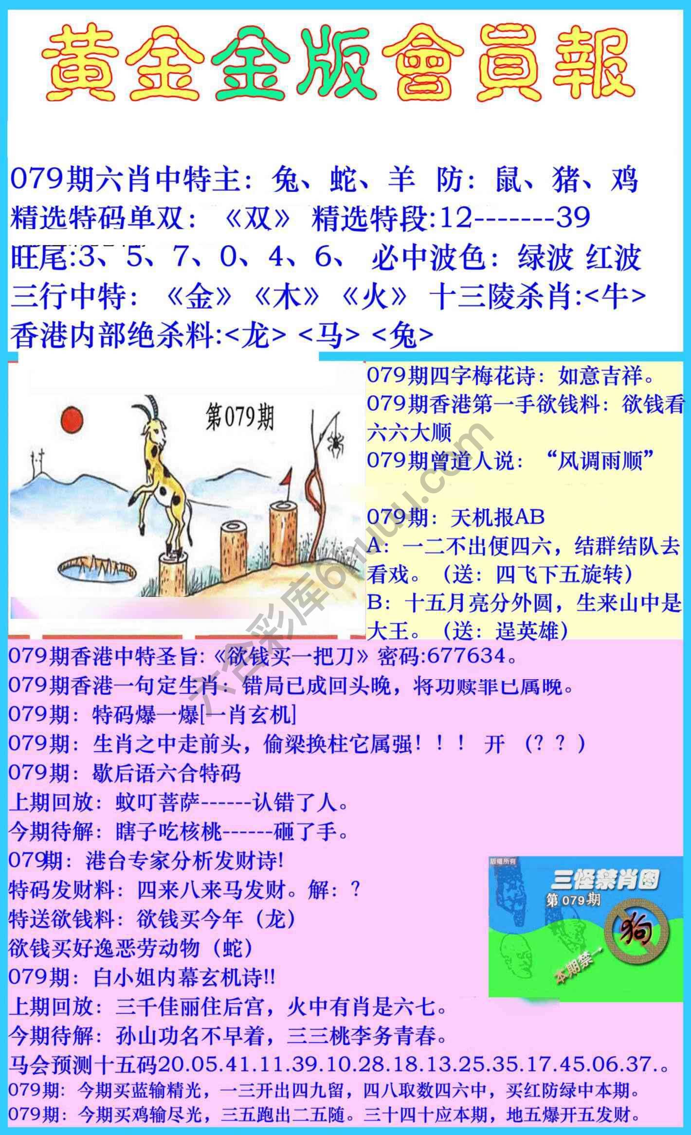 黄金金版会员报
