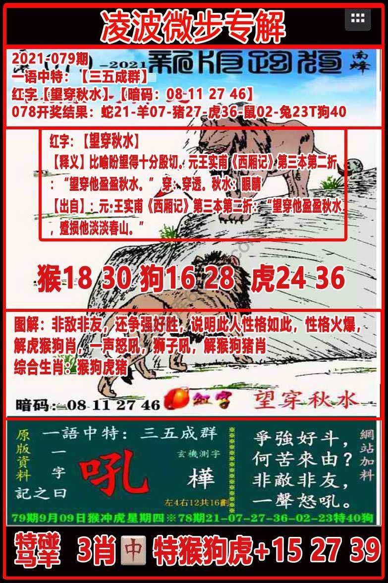 凌波微步解跑狗