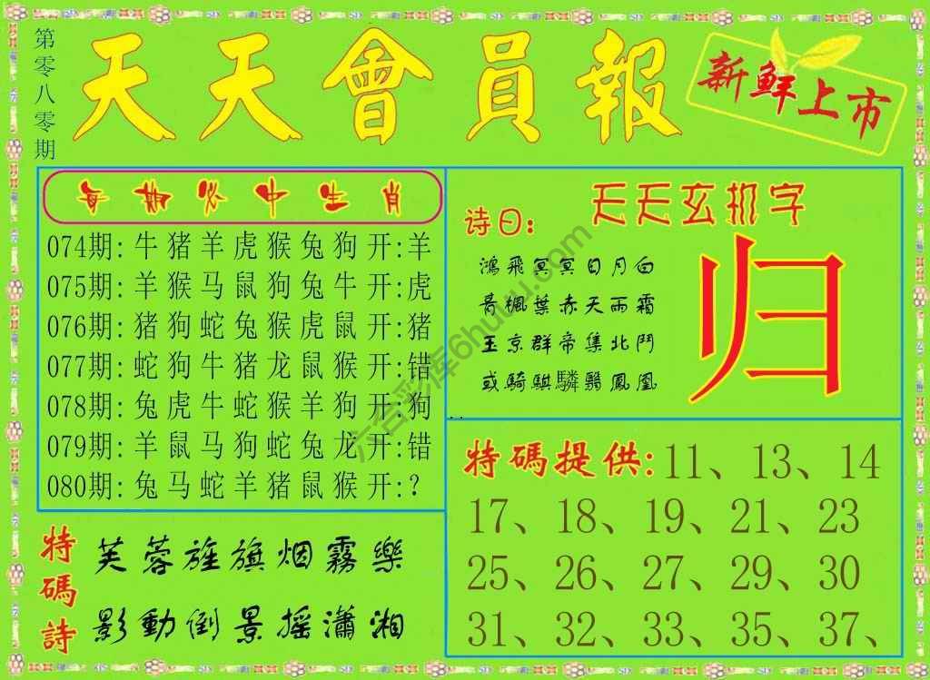 天天会员报