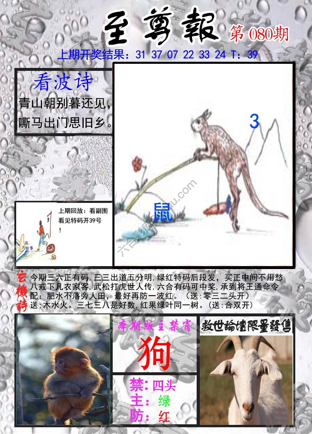 至尊报