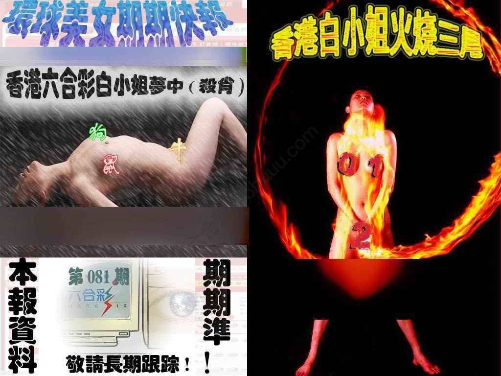 环球美女特码报