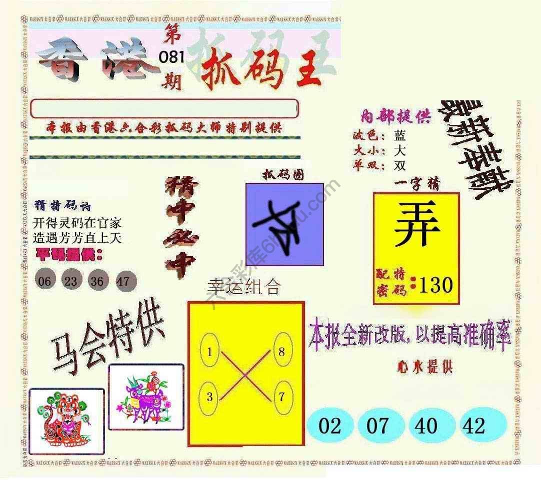 新抓码王