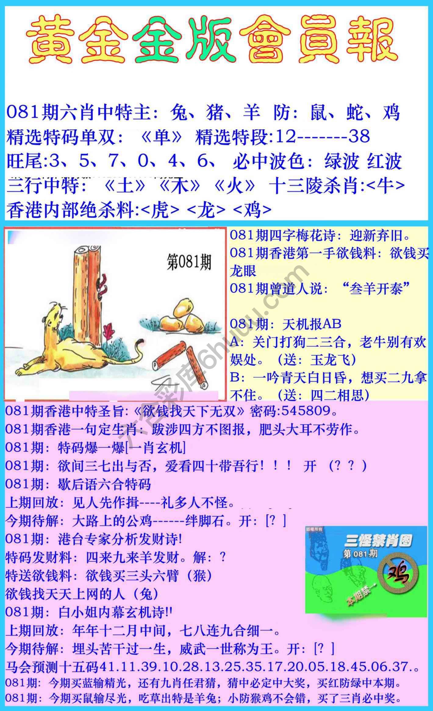 黄金金版会员报
