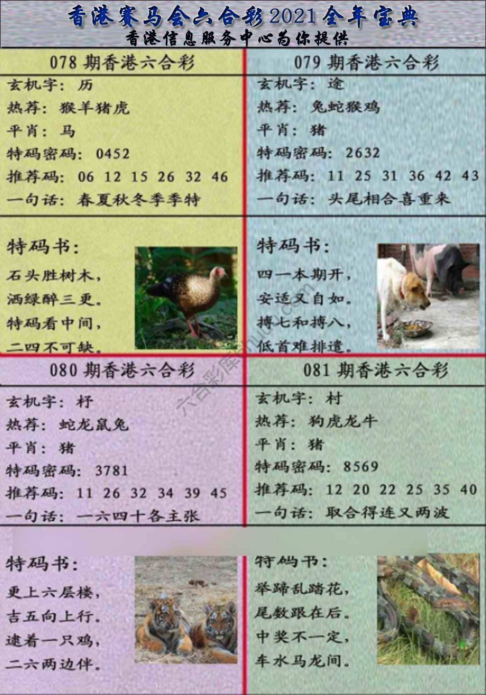 宝典报