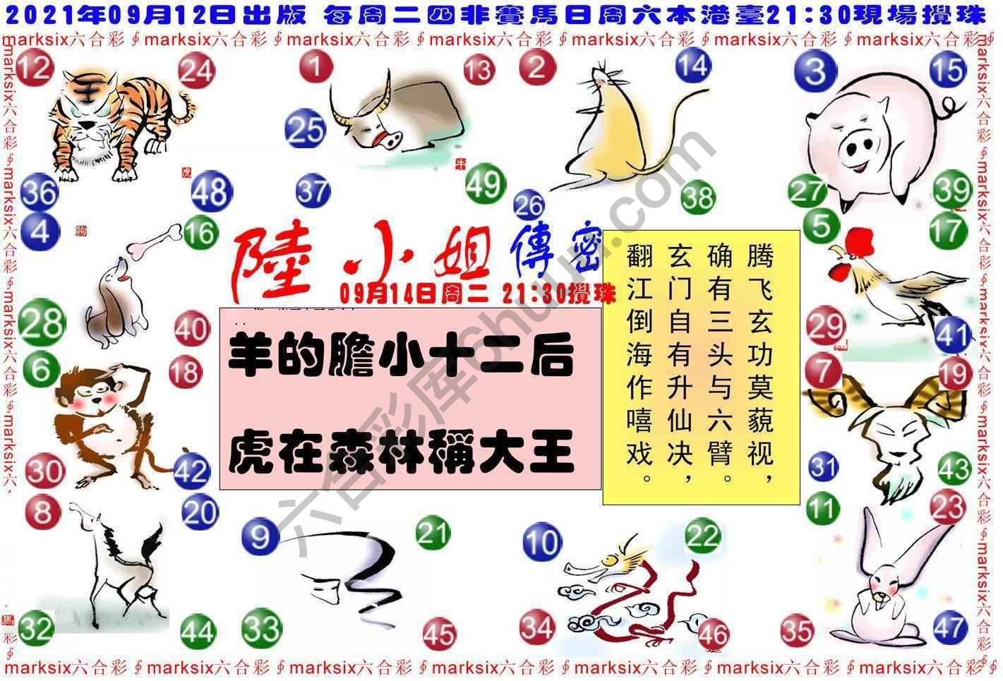陆小姐传密