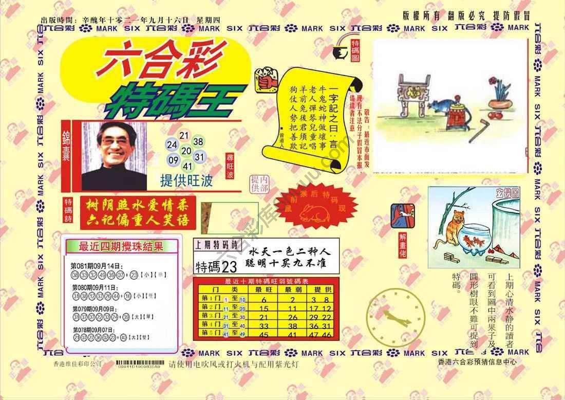 特码王