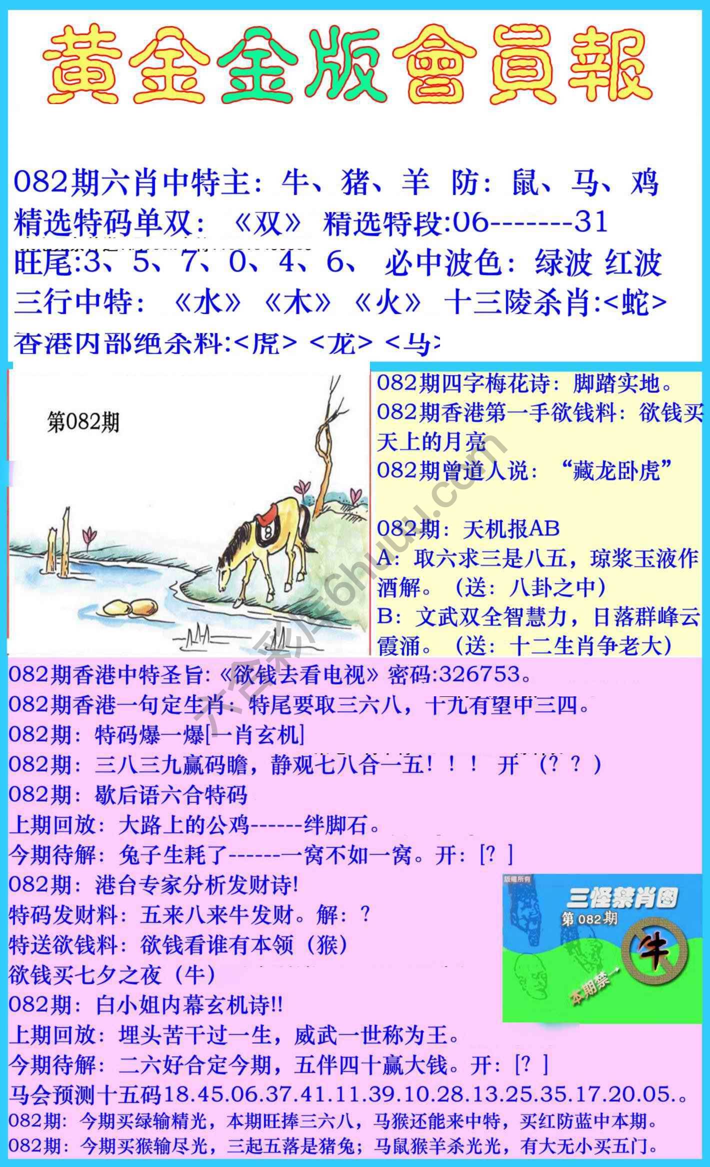 黄金金版会员报