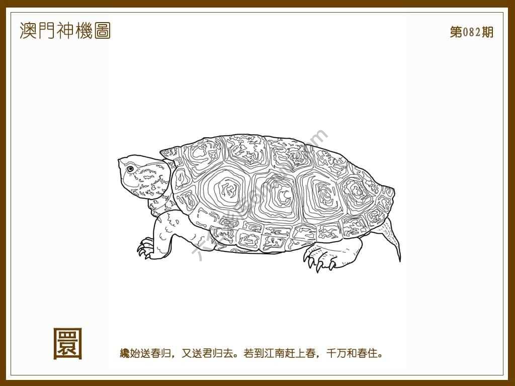 澳门神机图