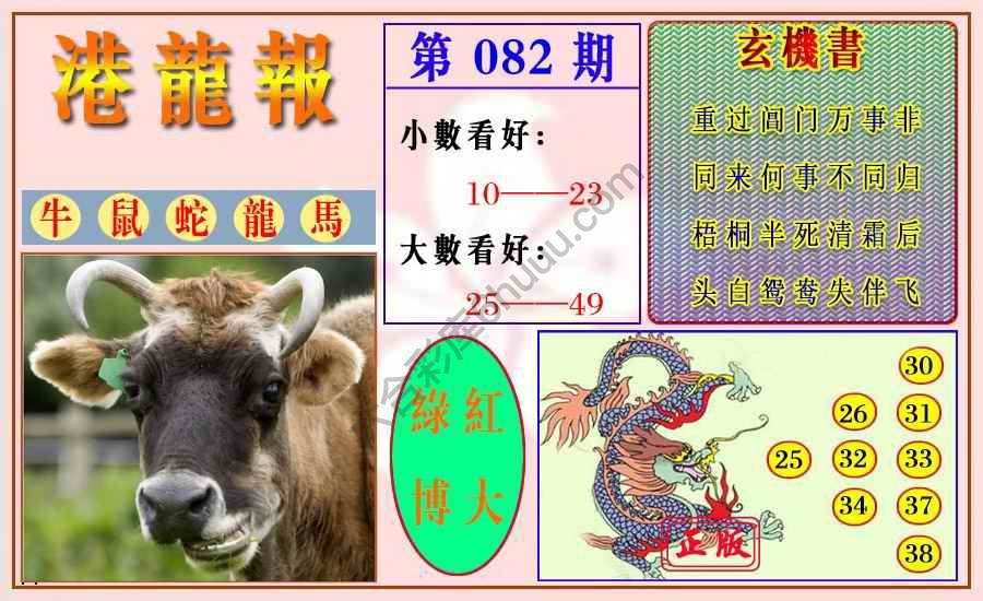 港龙报