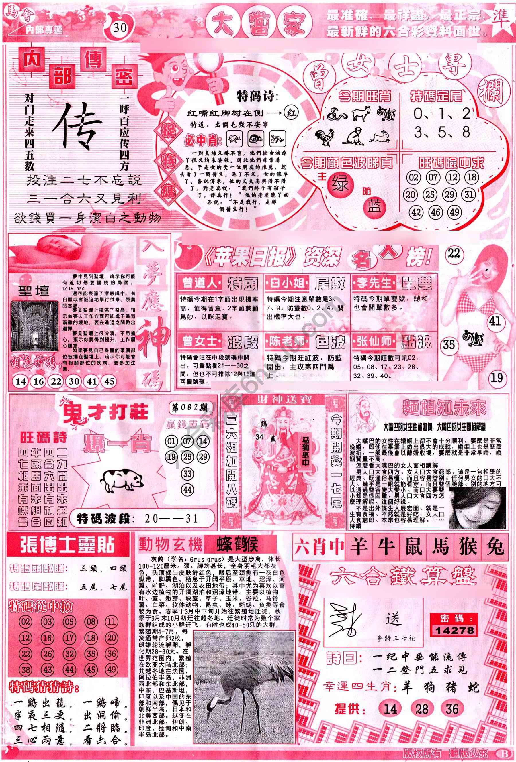 大当家
