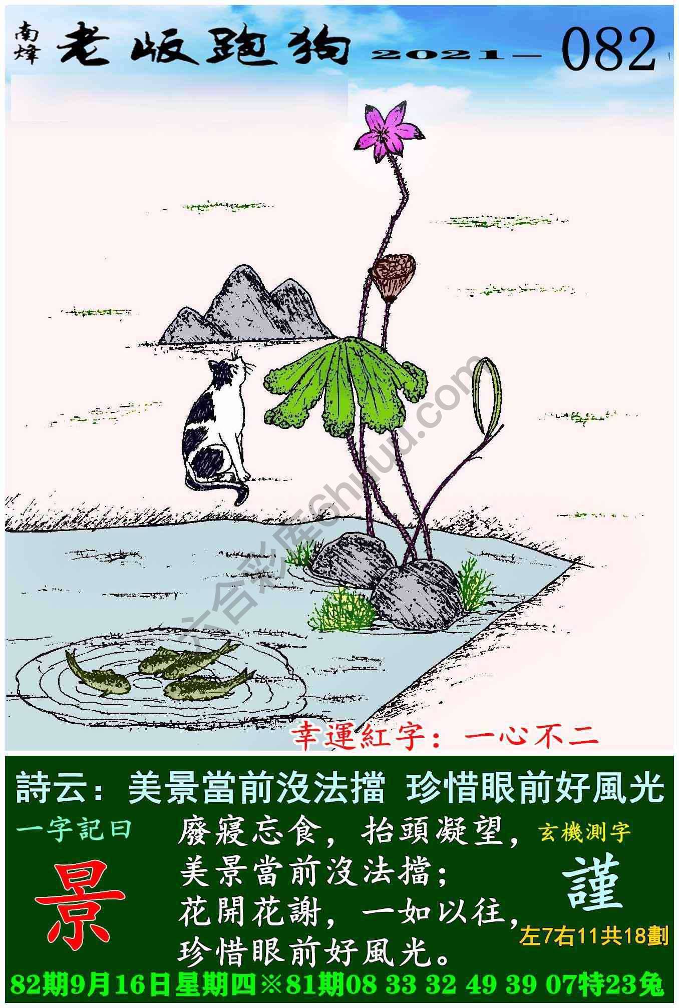 老版跑狗图