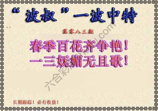 波叔一波中特