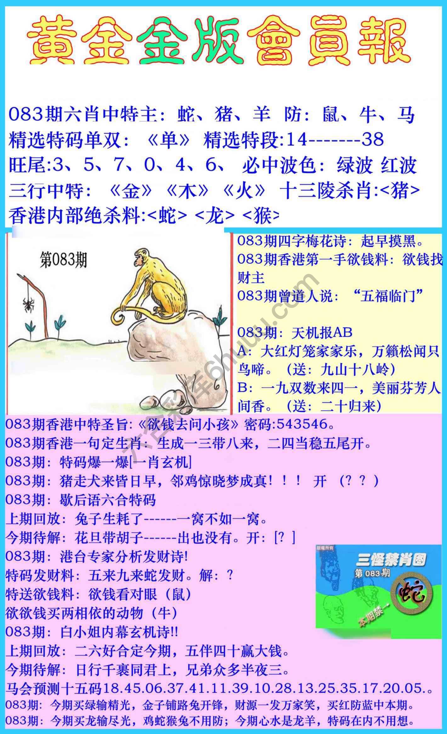 黄金金版会员报