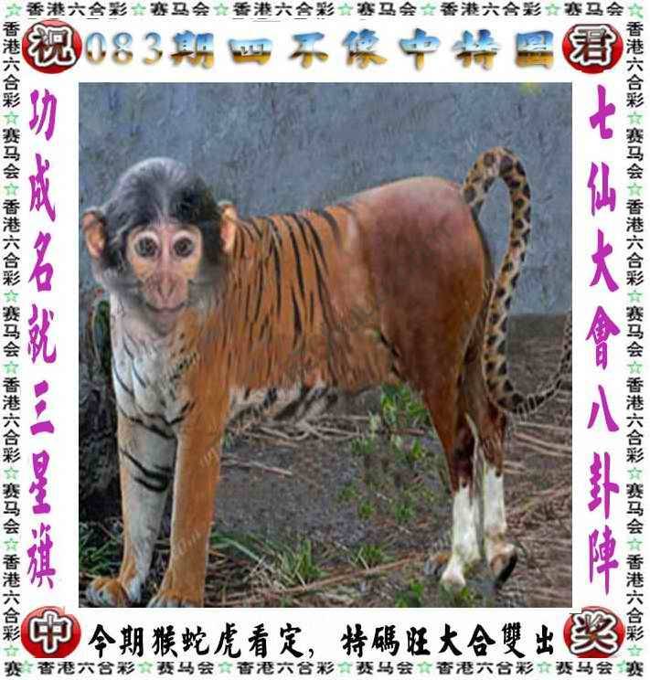 四不像中特图