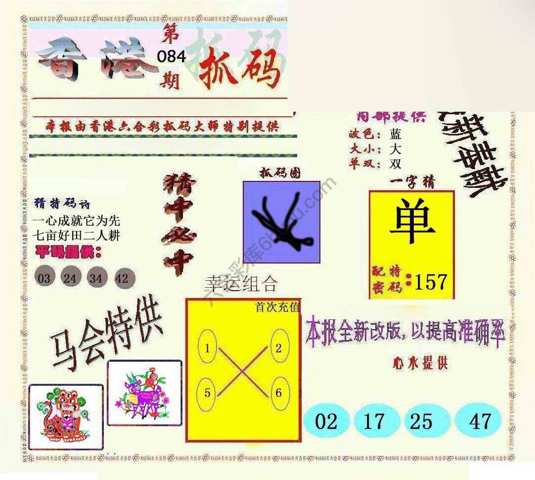 新抓码王