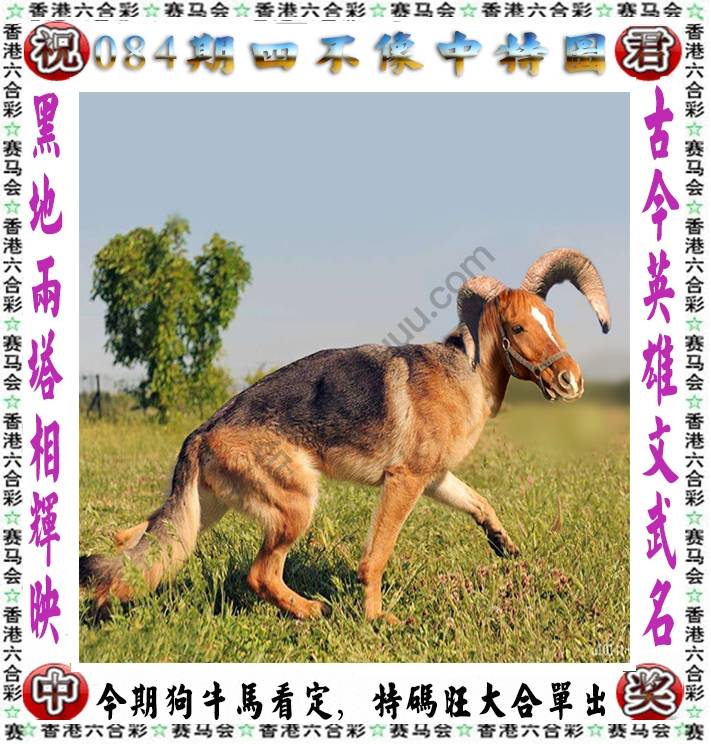 四不像中特图