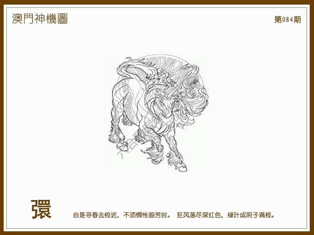 澳门神机图