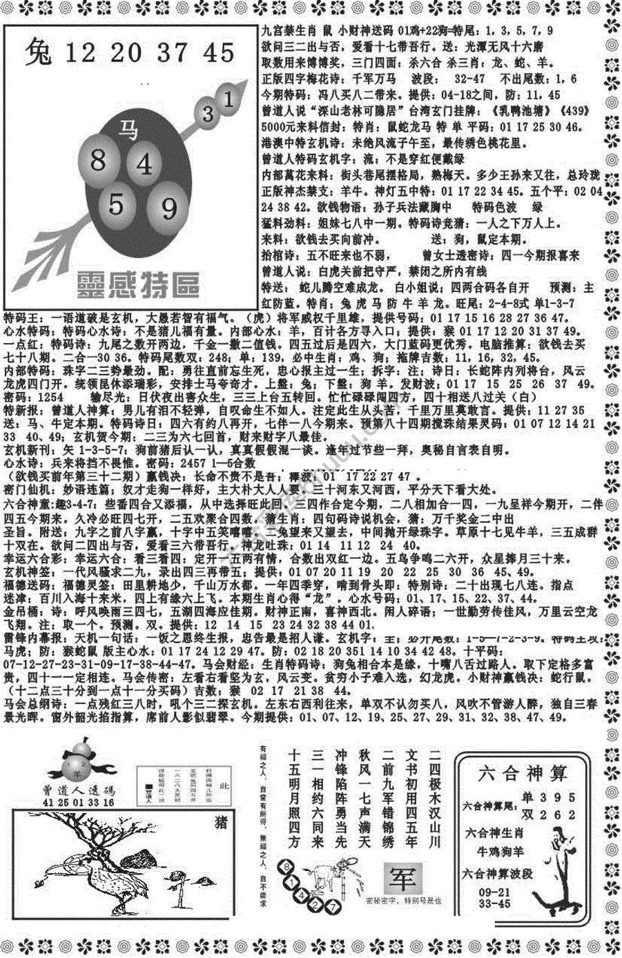 新香港彩霸王