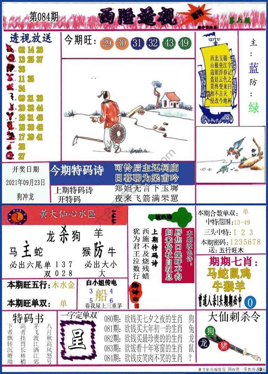 西陲透视（正版）