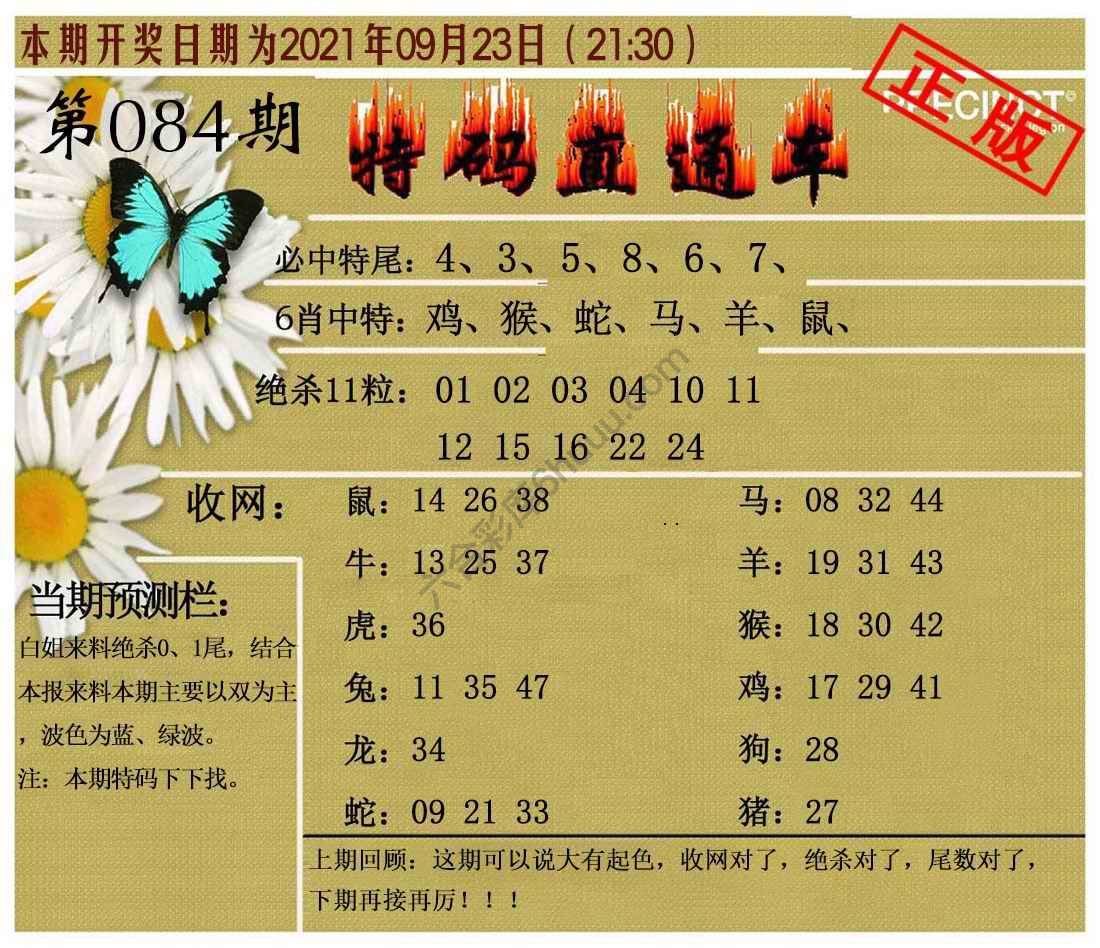 特码直通车