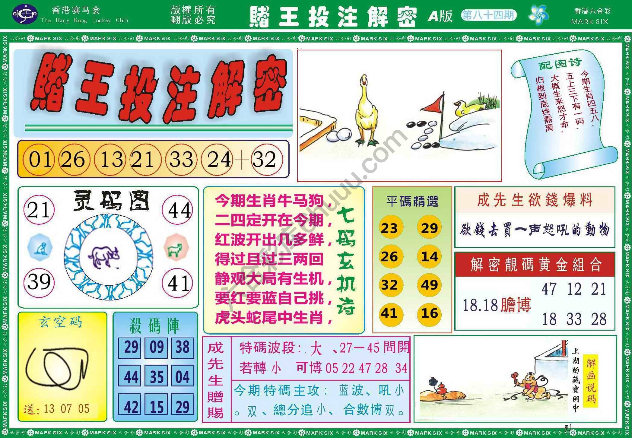 赌王投注解密