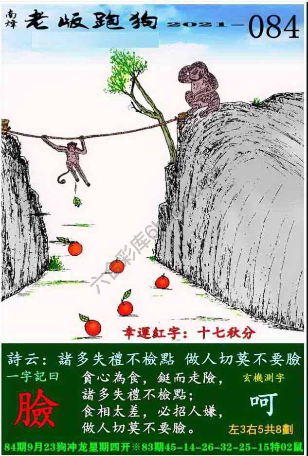 老版跑狗图