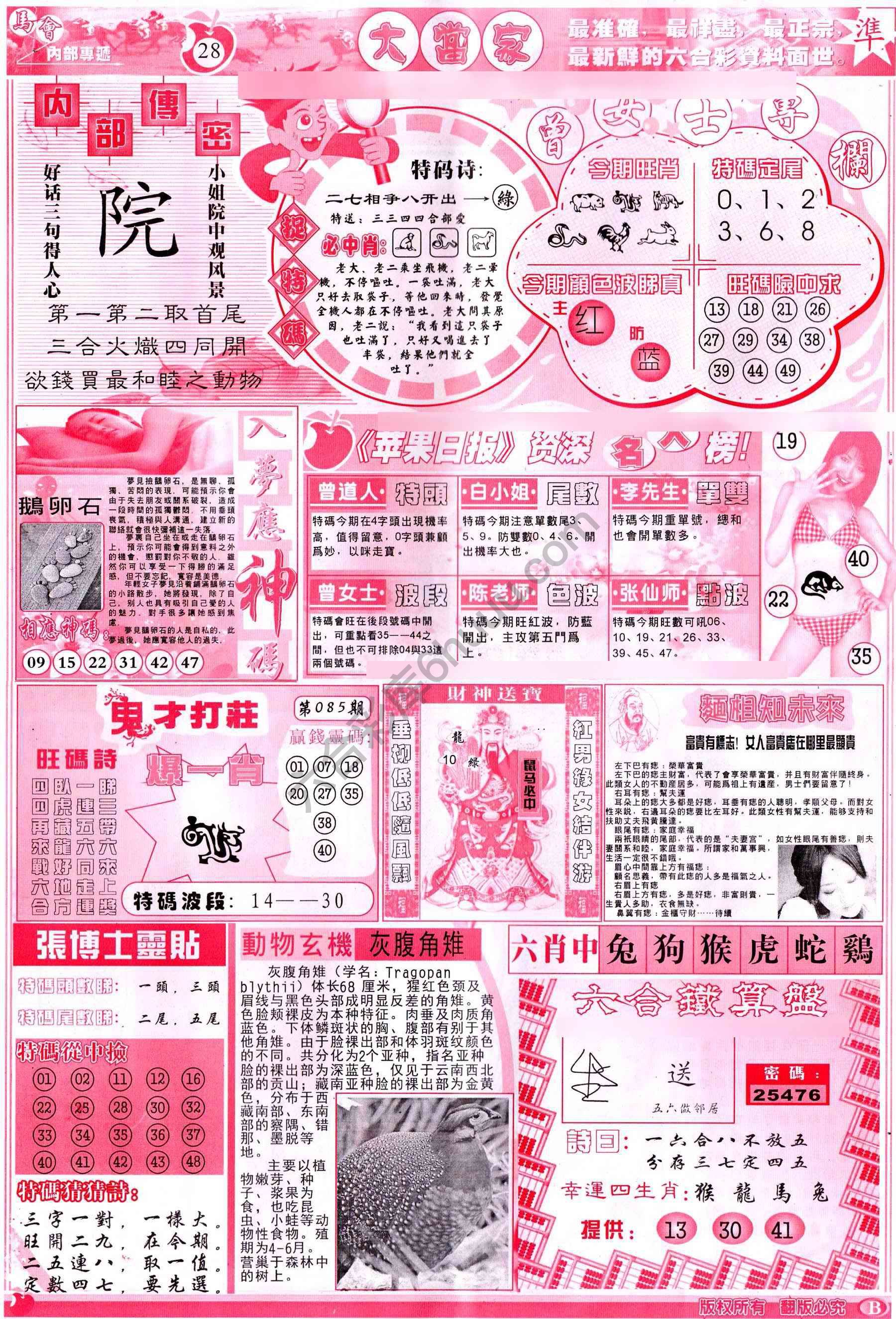 大当家