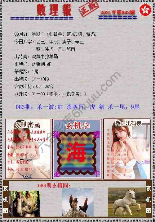 数理报